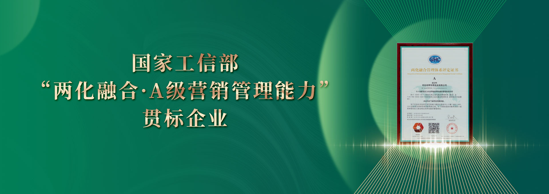 兩化融合A級營銷管理能力